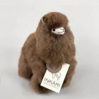 SMALL-ALPACA_140x140