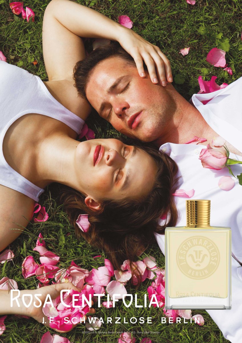 j-f-schwarzlose-rosa-centifolia-visual-gradmann-1864