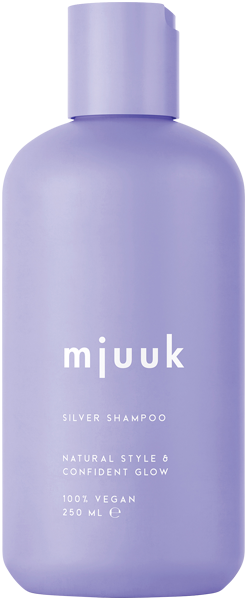 Silver Shampoo
