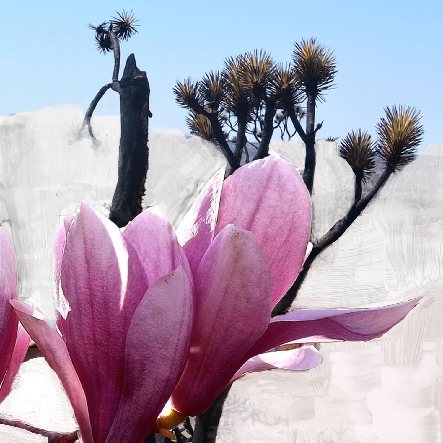 Mojave Ghost Body Lotion