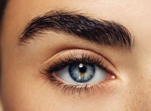 PERFECT BROW Augenbrauen-Behandlung