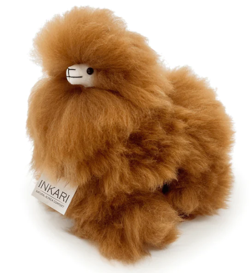 23cm-Haselnuss-100007561-1