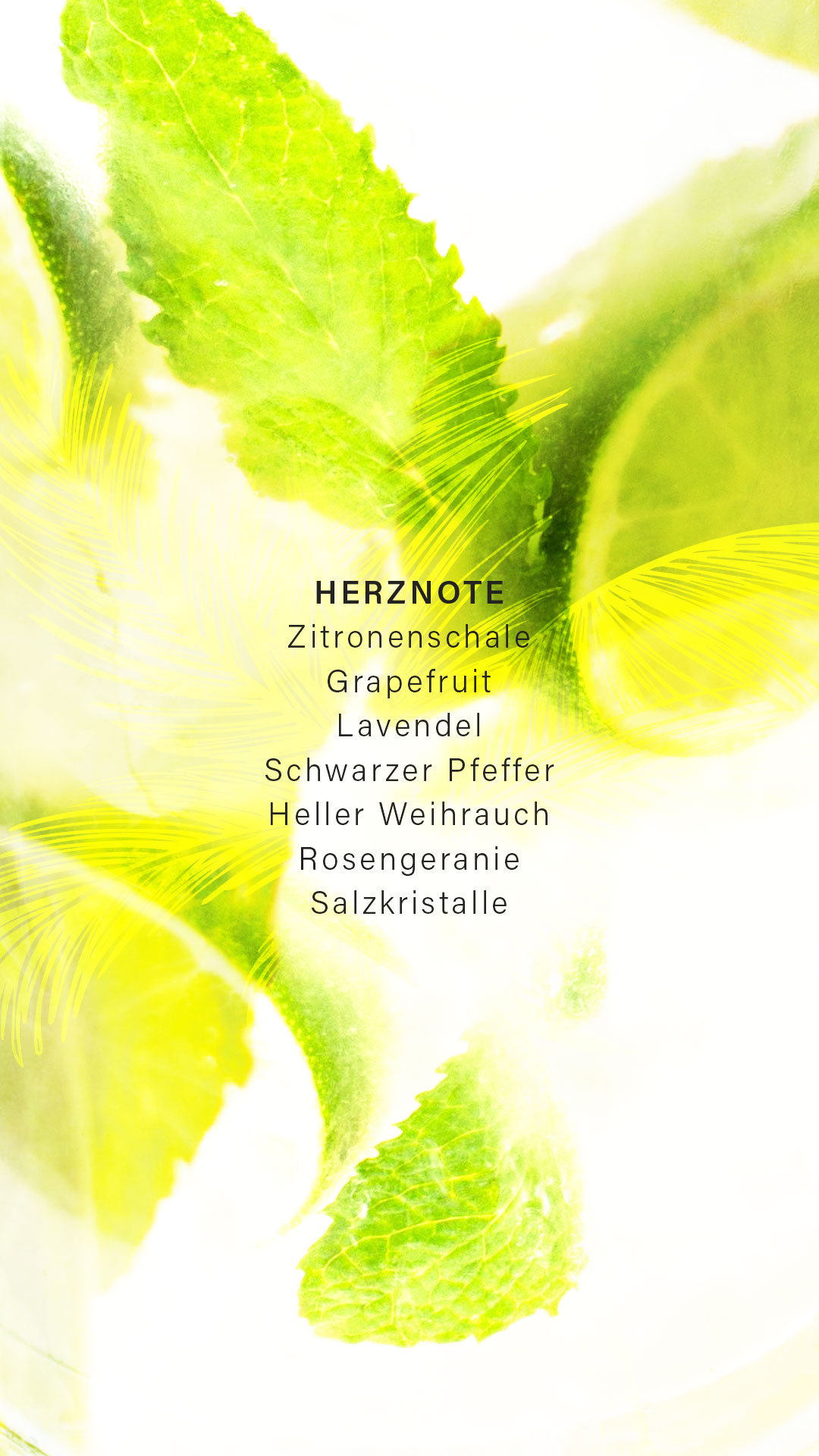 Lime 9 Extrait de Parfum - limited Edition