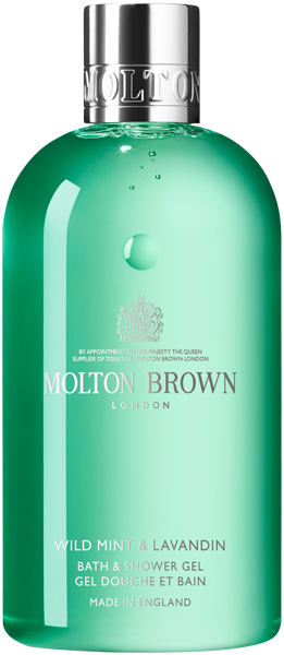 Wild Mint & Lanvandin Bath & Shower Gel