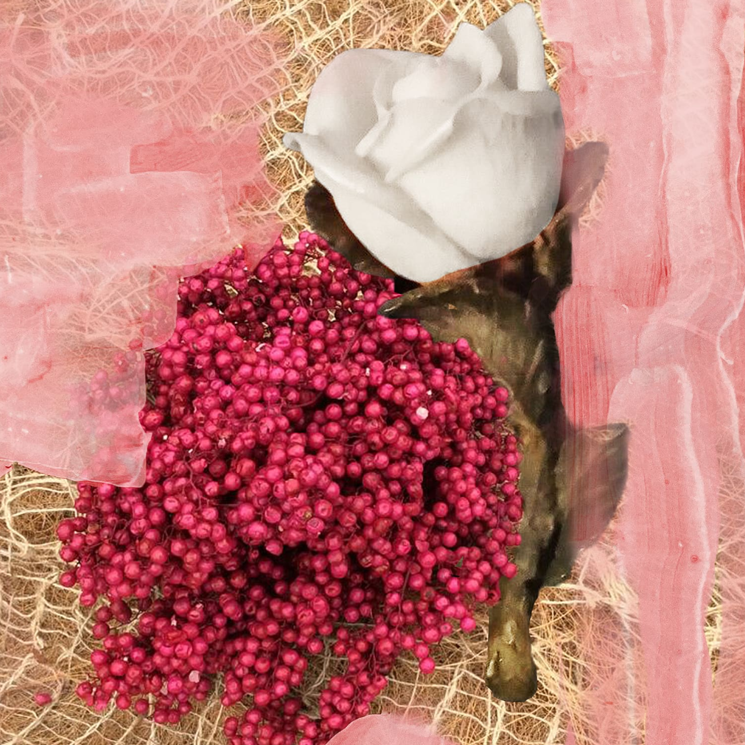 Rose of no Man's Land Eau de Parfum