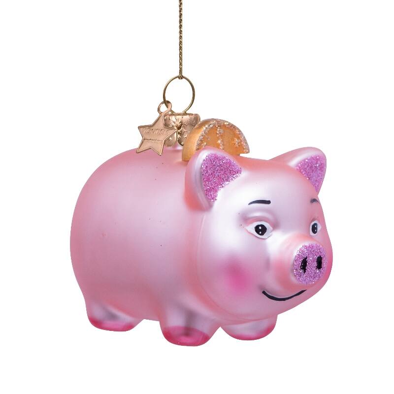 Piggy with Coin
