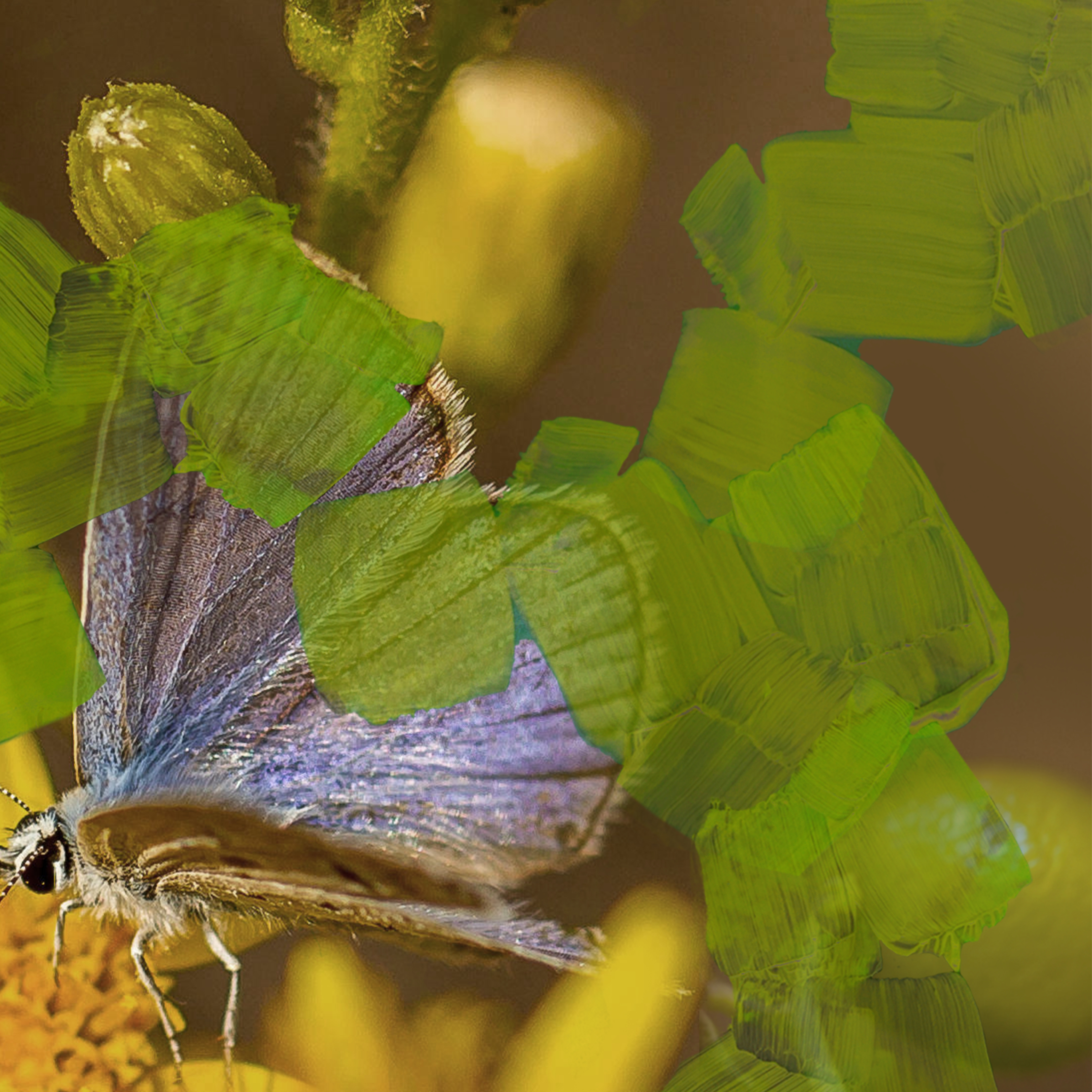 Animalique Eau de Parfum
