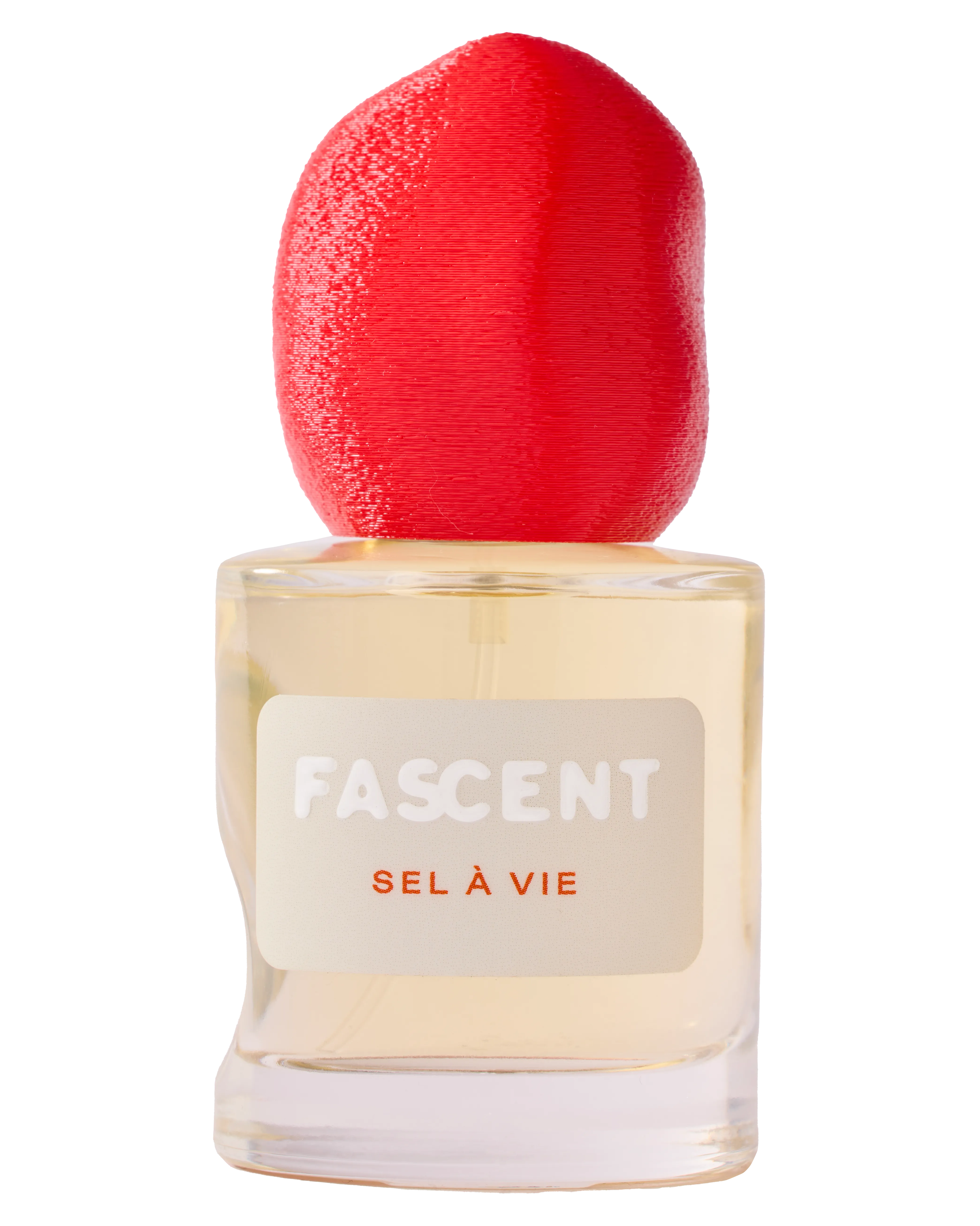 Eine Flasche 30ml Duft Sel a Vie von Fascent