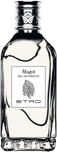 Magot