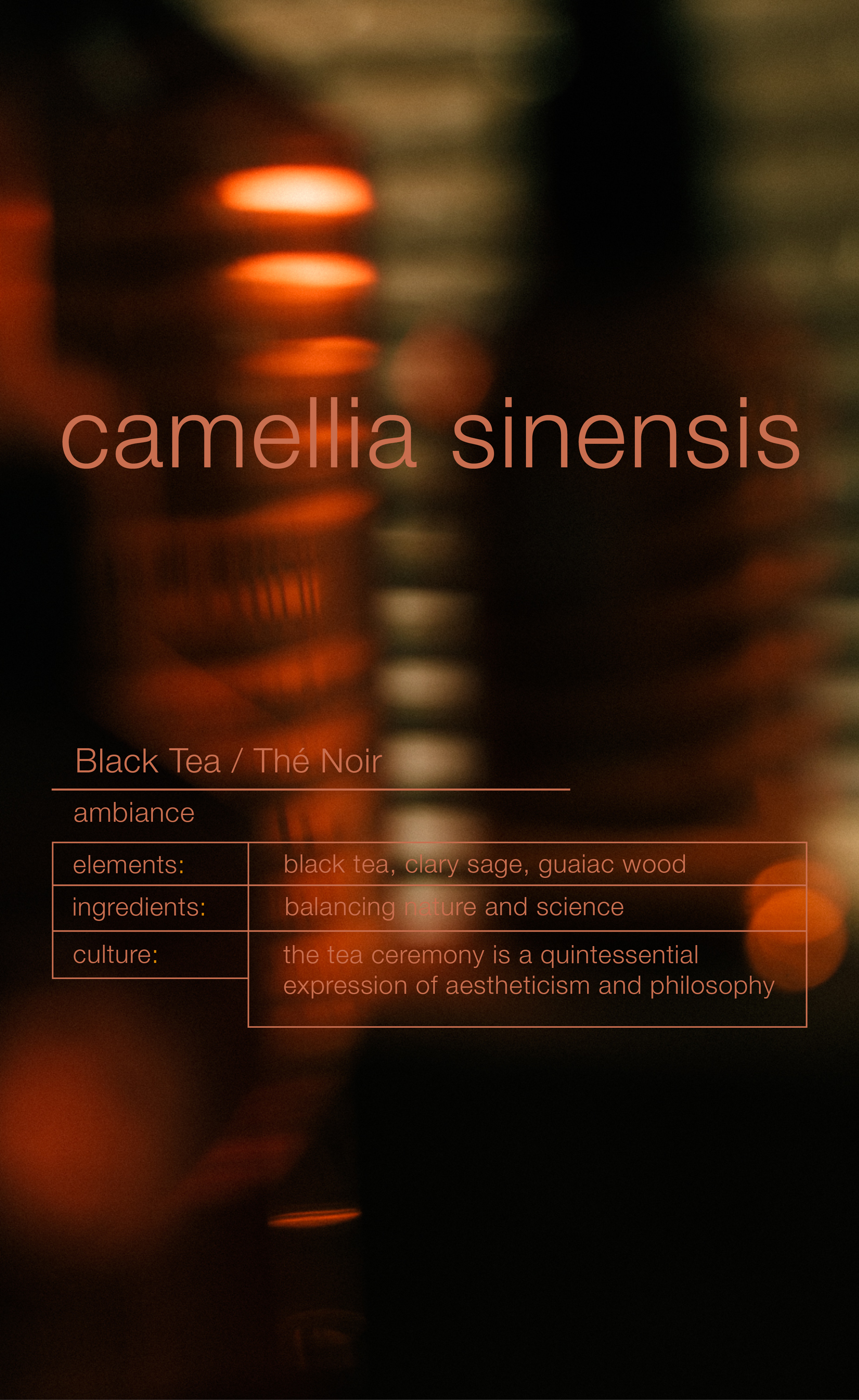 Black Tea Camellia Sinensis Body Wash Duschgel