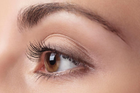 PERFECT BROW Augenbrauen-Behandlung
